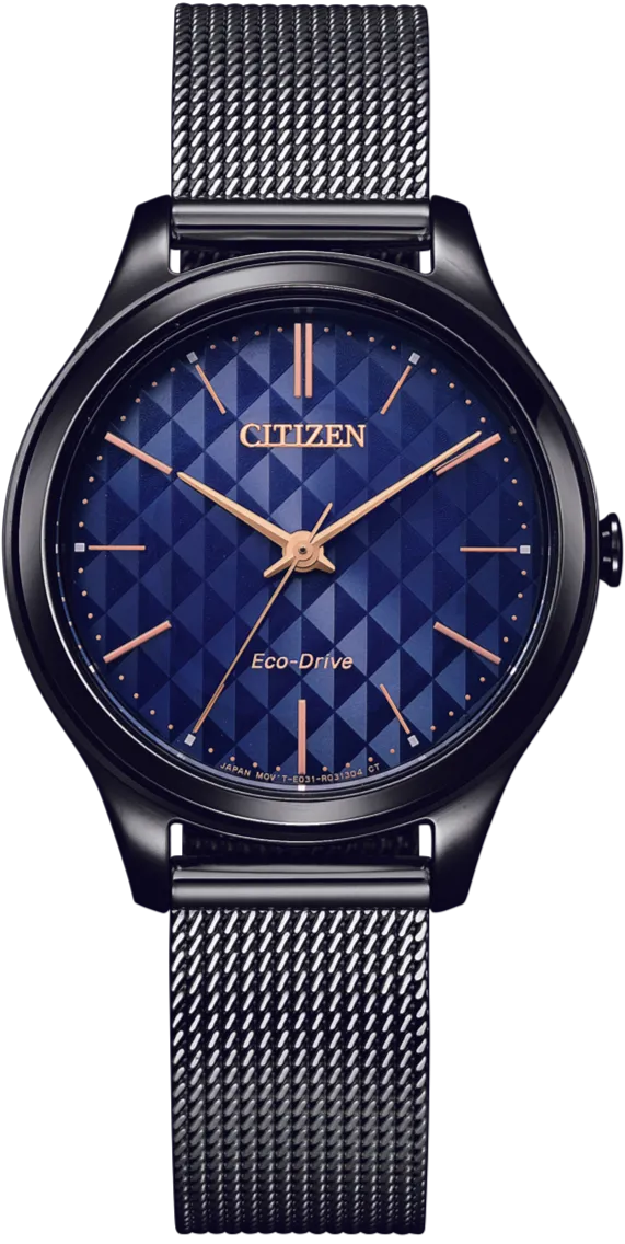 CITIZEN EM1173-87X(C5)