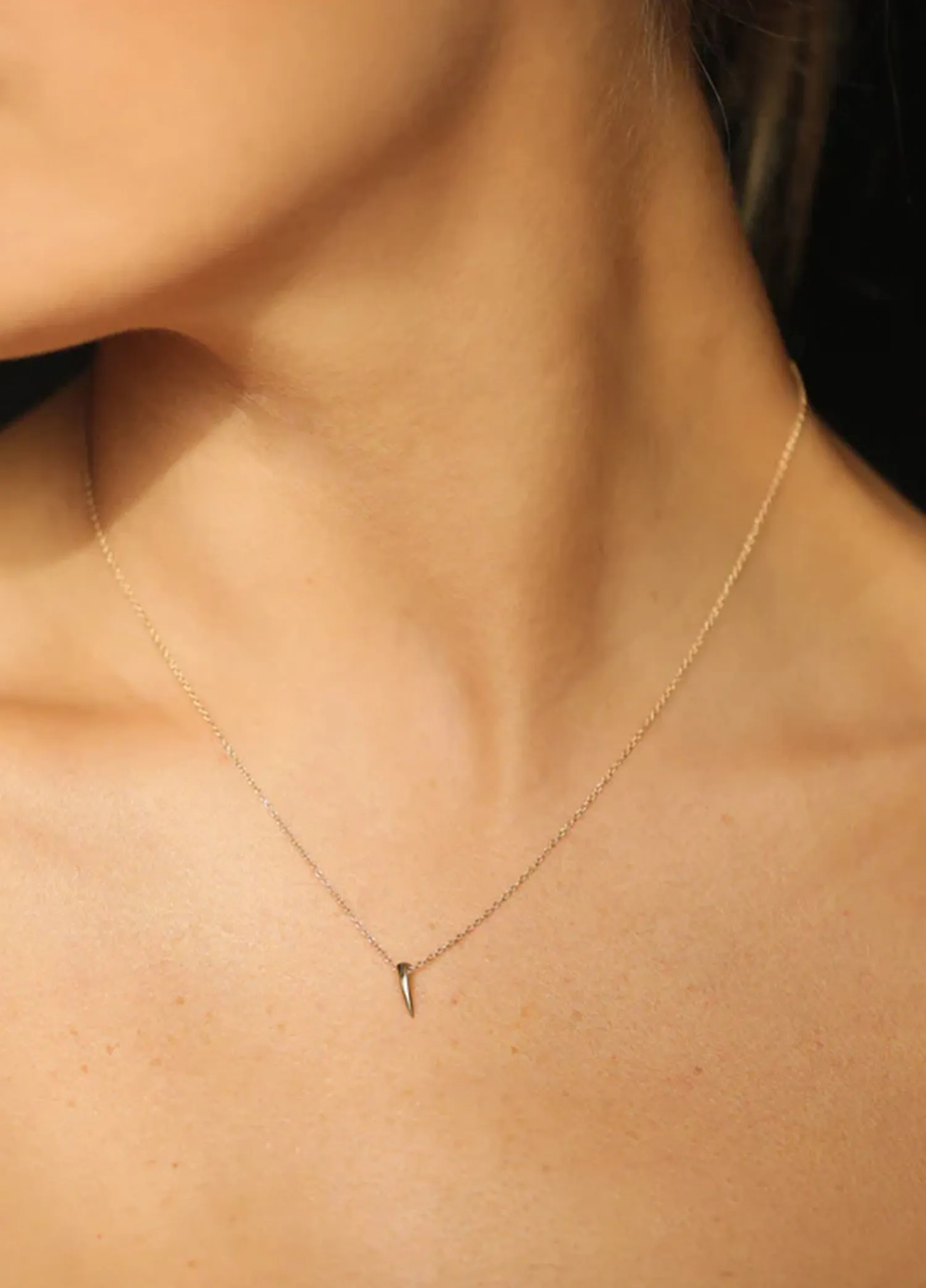 Mara Mini Horn Necklace 14k gold