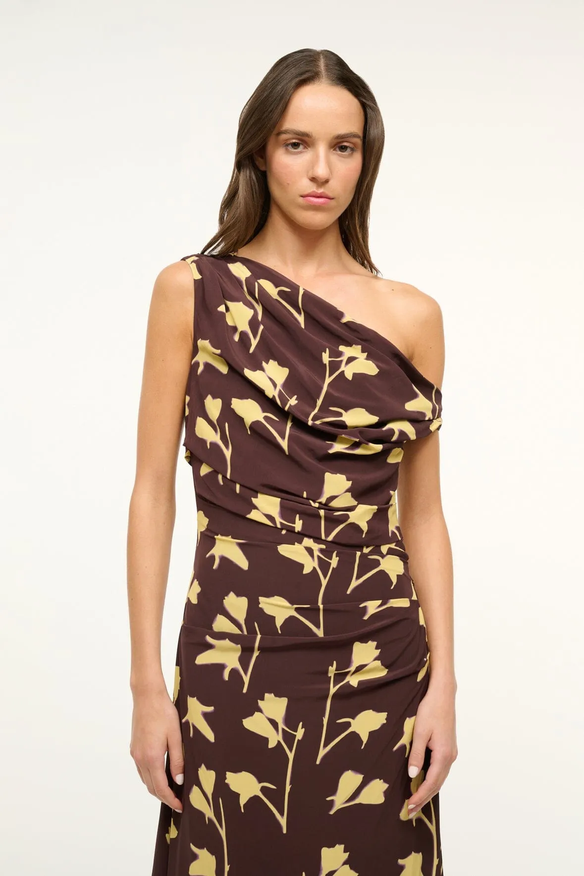 MAXI PHARE DRESS | EARTH PRESSED FLORAL