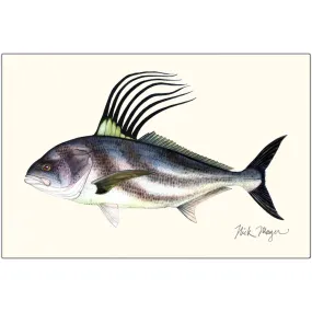 Roosterfish Metal Print, NEW!